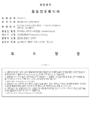 국내 특허 출원